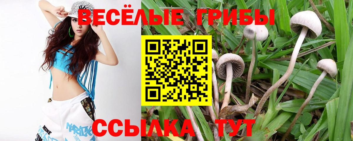 Галлюциногенные грибы прущие грибы Новоалтайск