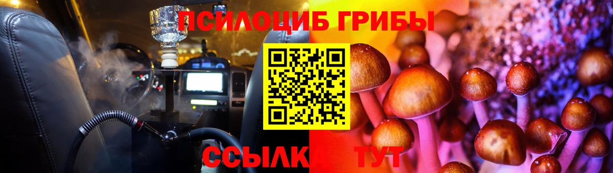 Галлюциногенные грибы Cubensis  Псилоцибиновые грибы Cubensis  Вход с VPN  Новоалтайск 
